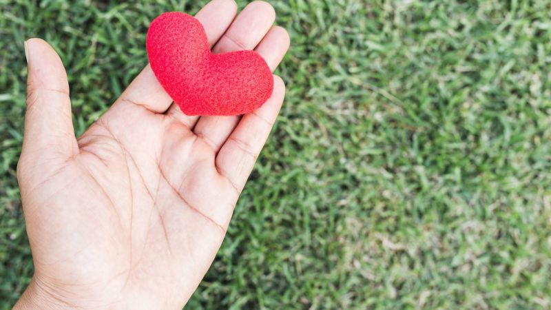 Hands of a man holding a red hart as symbol of love. valentine day